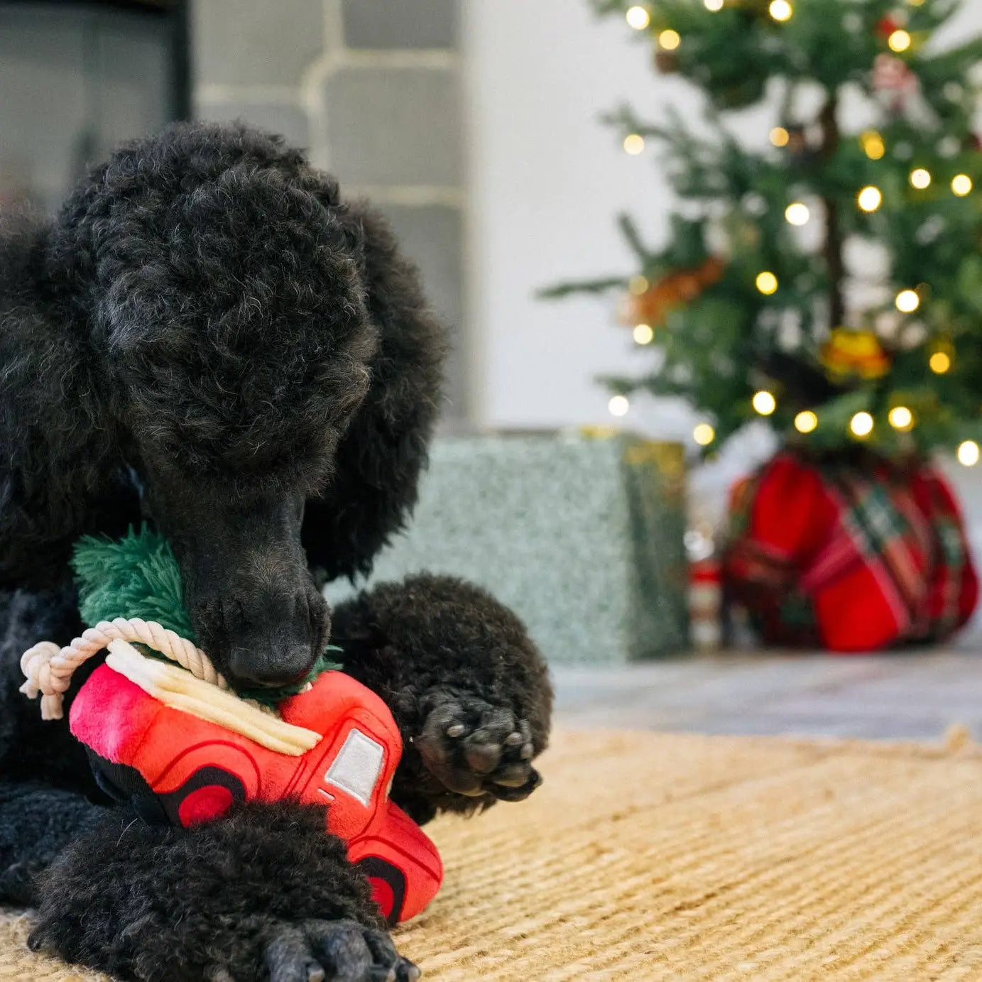 Jouet pick-up de Noël - PLAY