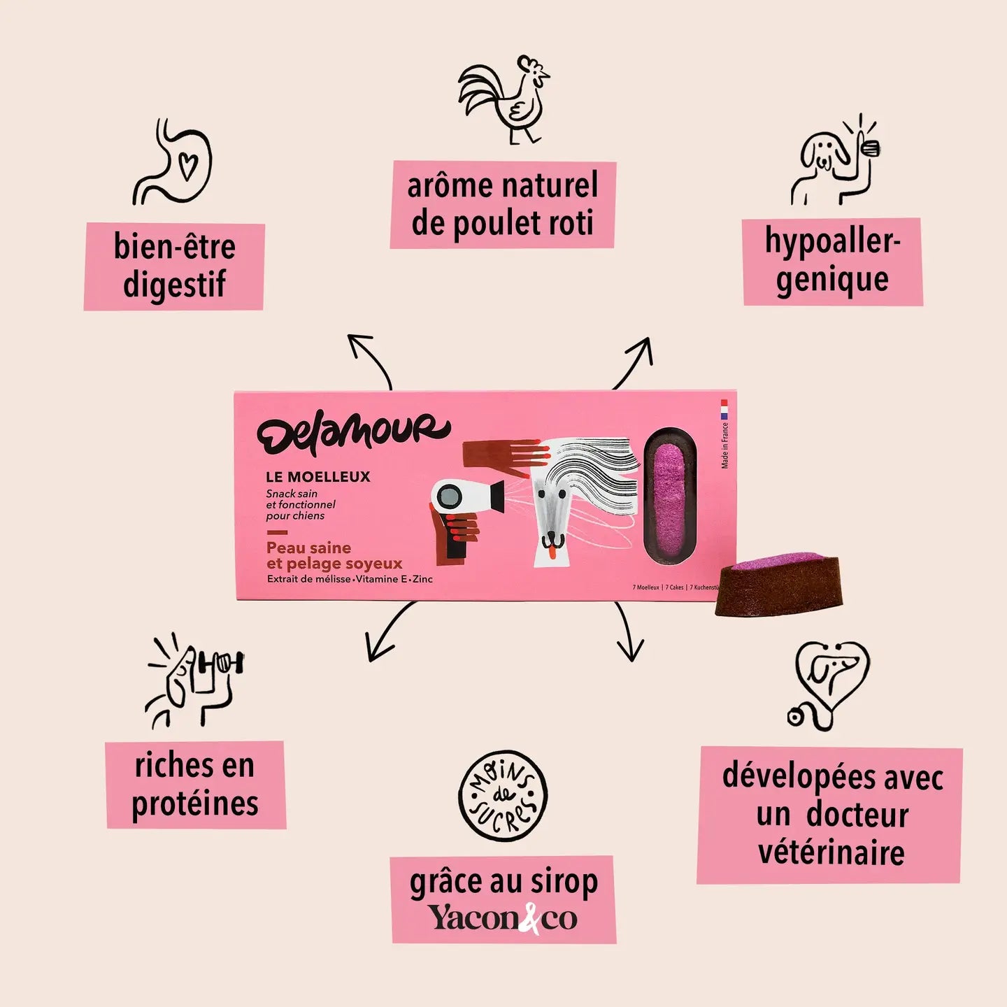 Le Moelleux Pastries - Healthy Skin and Silky Coat - DELAMOUR