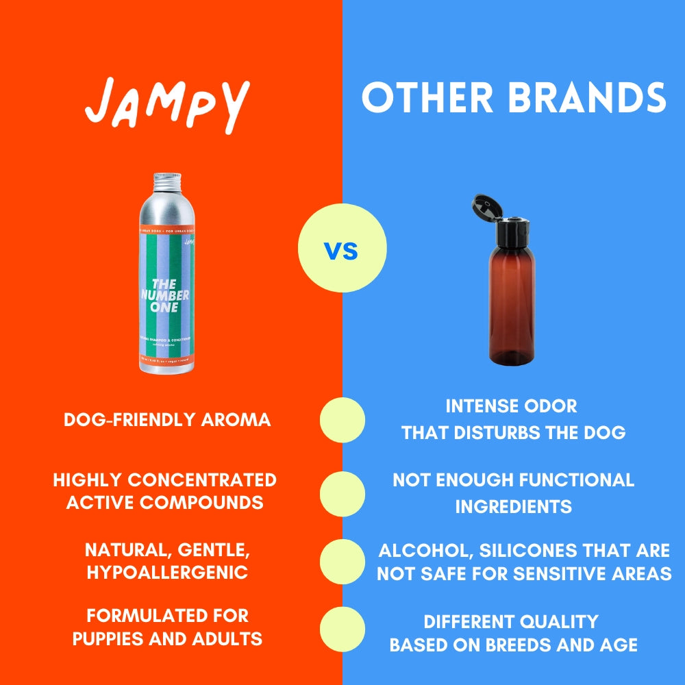 The Number One Shampoo and Conditioner - JAMPY