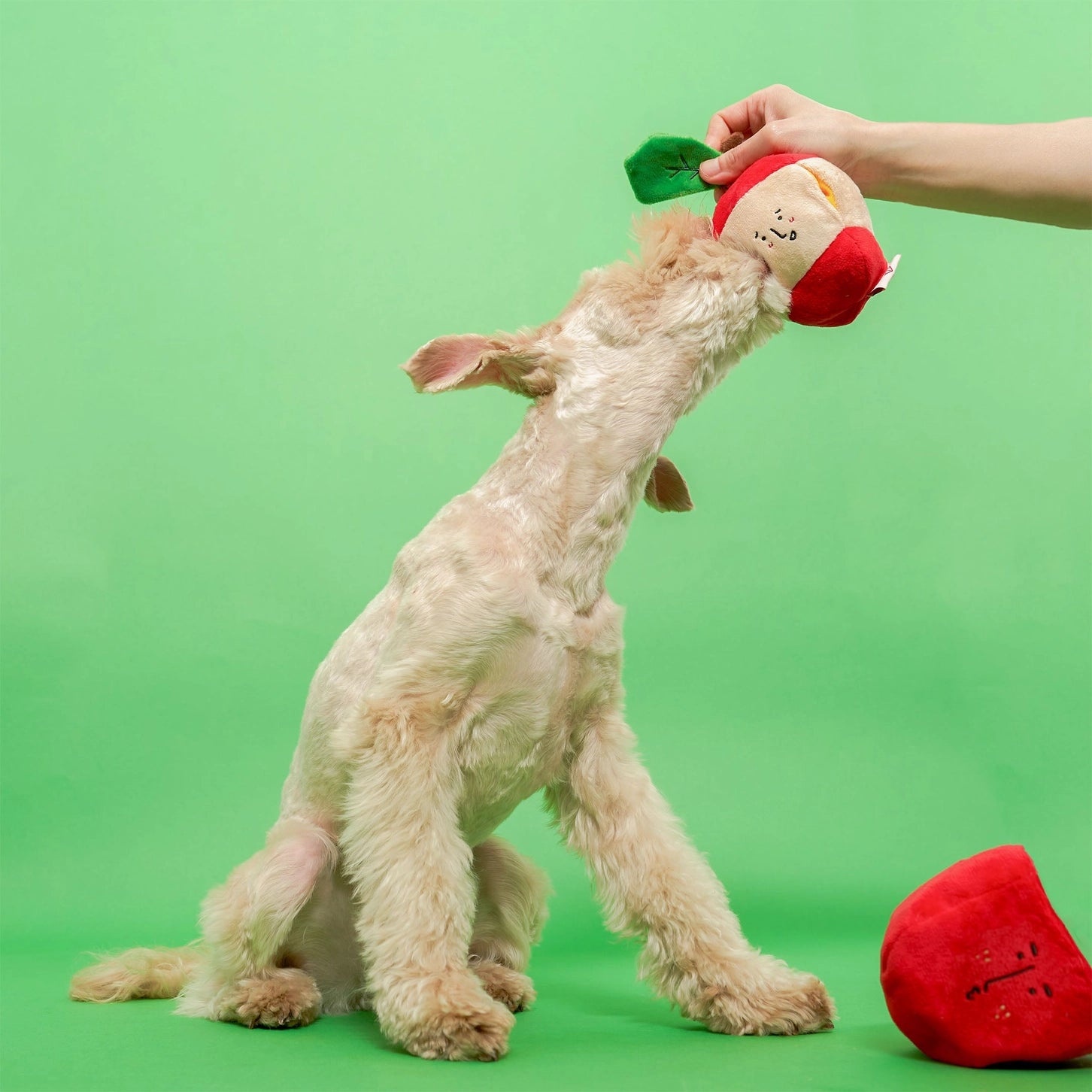 Jouet pomme - THE FURRY FOLKS