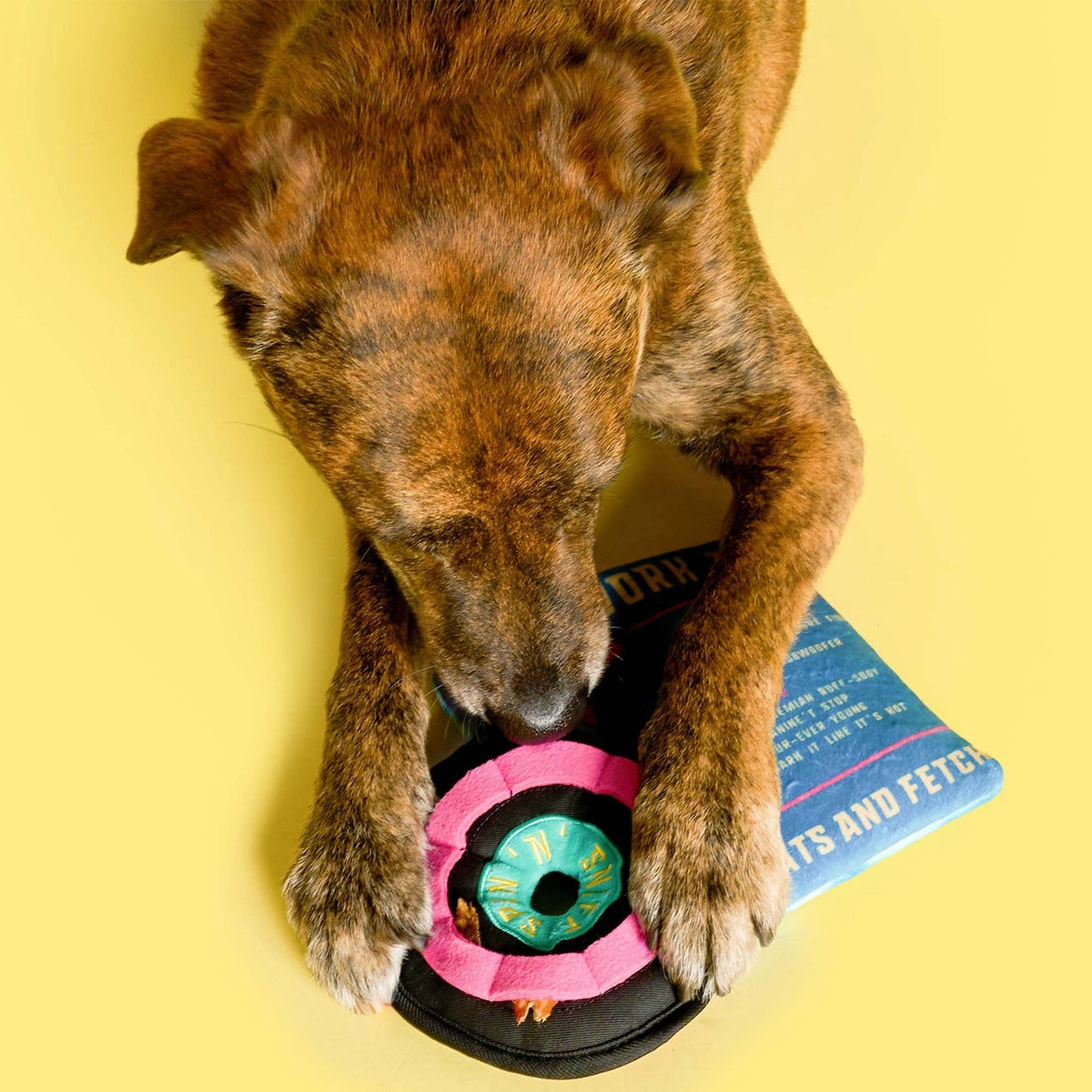 Jouet vinyle - THE FURRY FOLKS