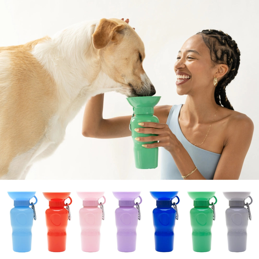 Classic Water Bottle - SPRINGERLAND PETS