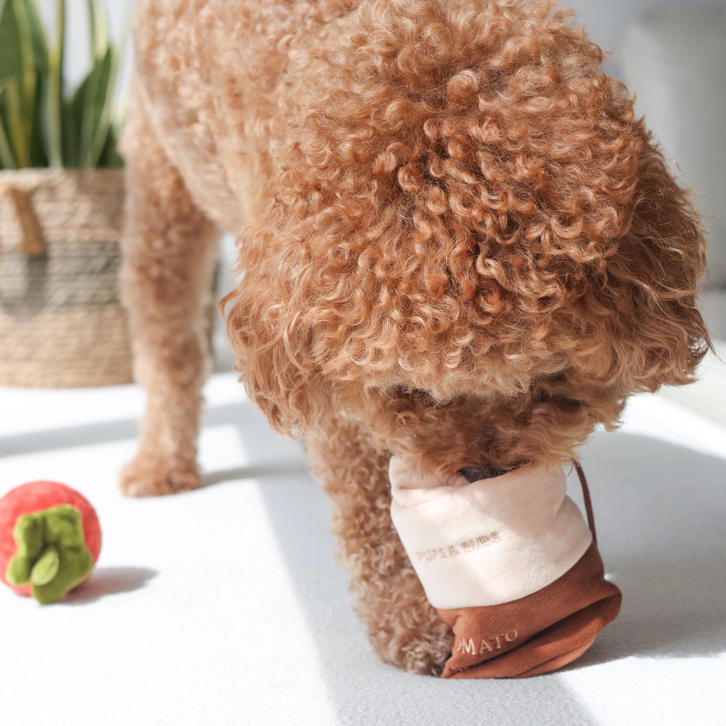 Jouet soupe de tomate - PUP'S & BUBS