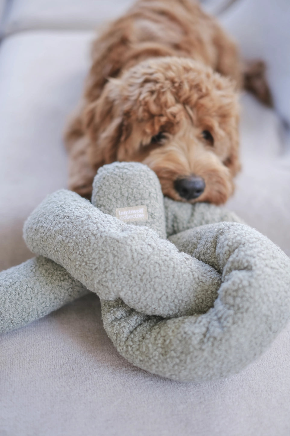 O NOU Toy - LAMBWOLF COLLECTIVE