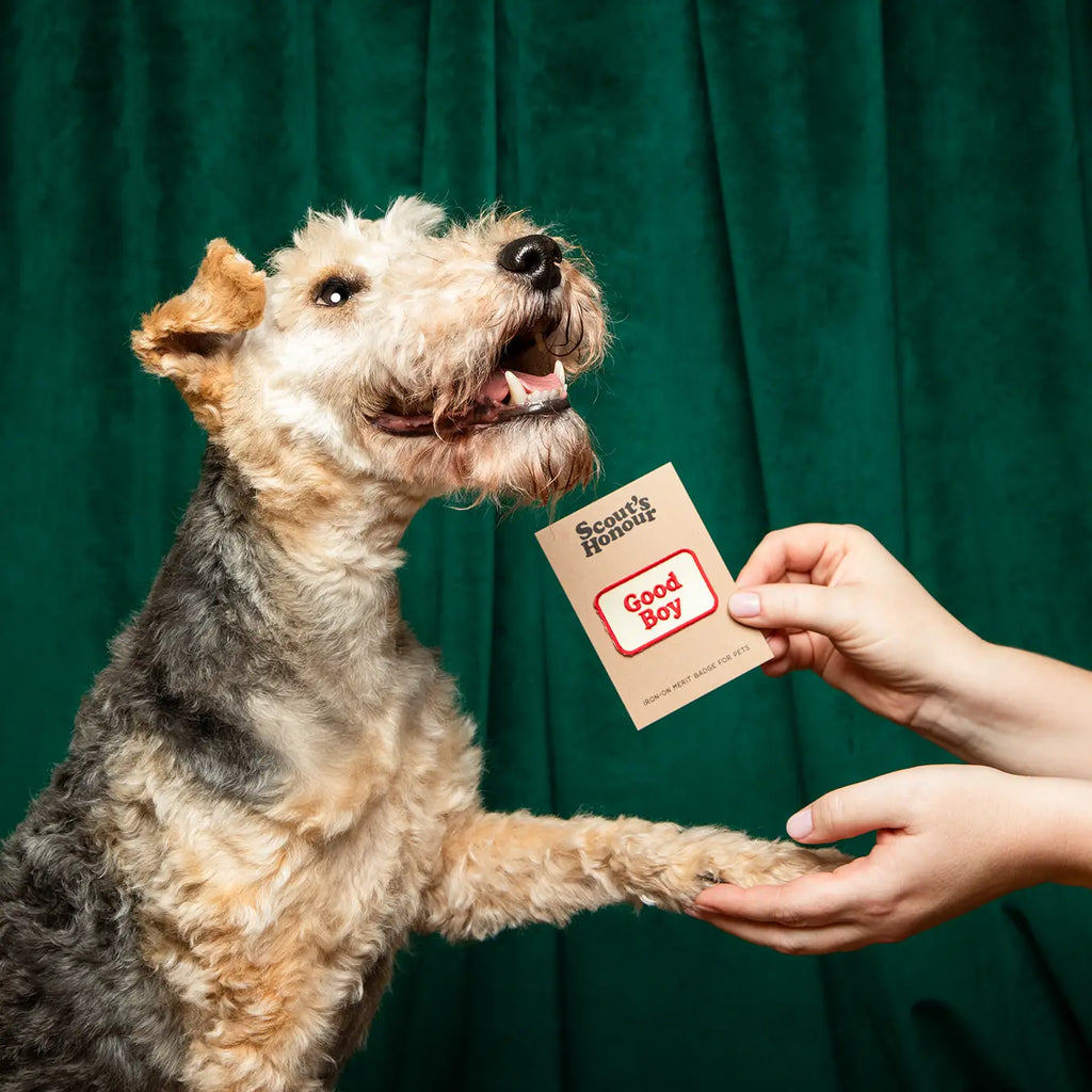 Iron-on merit badge GOOD BOY - SCOUT'S HONOUR
