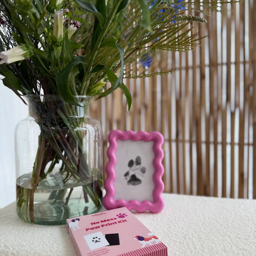 Kit d'empreintes de pattes - BABELLE FOR DOGS