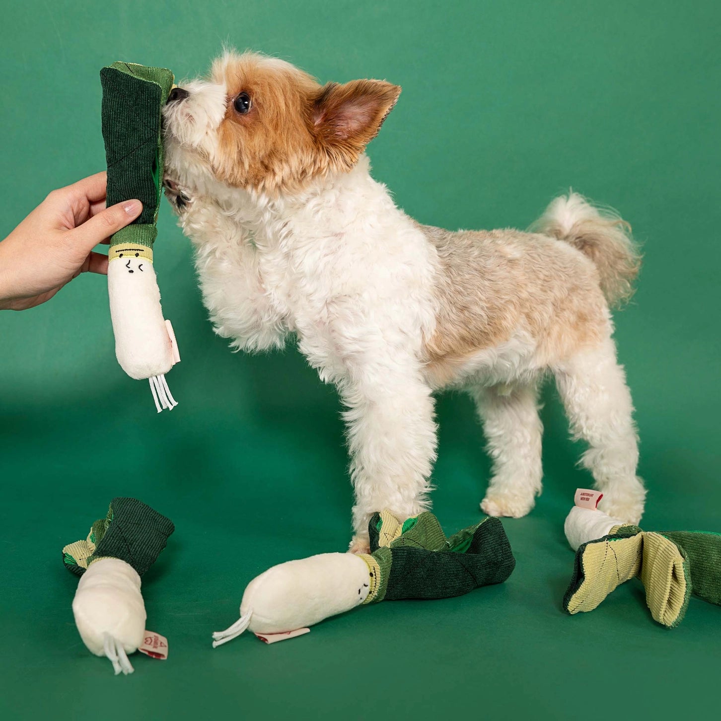 Jouet oignon vert - THE FURRY FOLKS