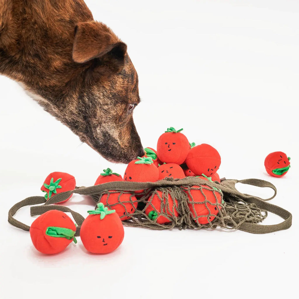 Jouet tomates cerise - THE FURRY FOLKS