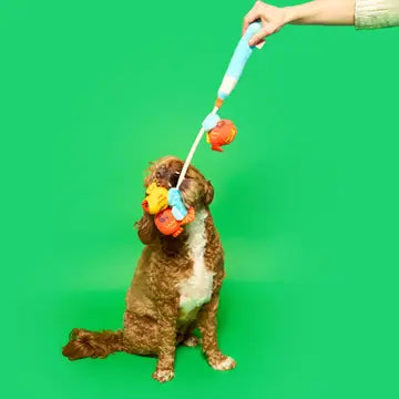 Jouet Canne à pêche - THE FURRYFOLKS