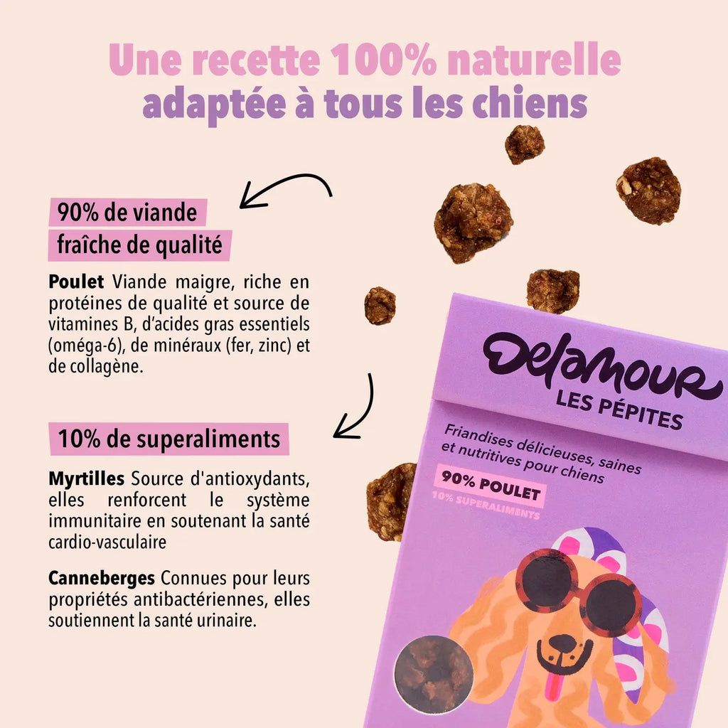Friandises Les Pépites - Poulet - DELAMOUR