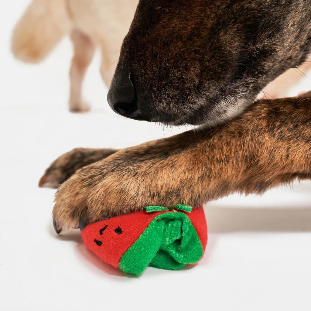 Jouet tomates cerise - THE FURRY FOLKS