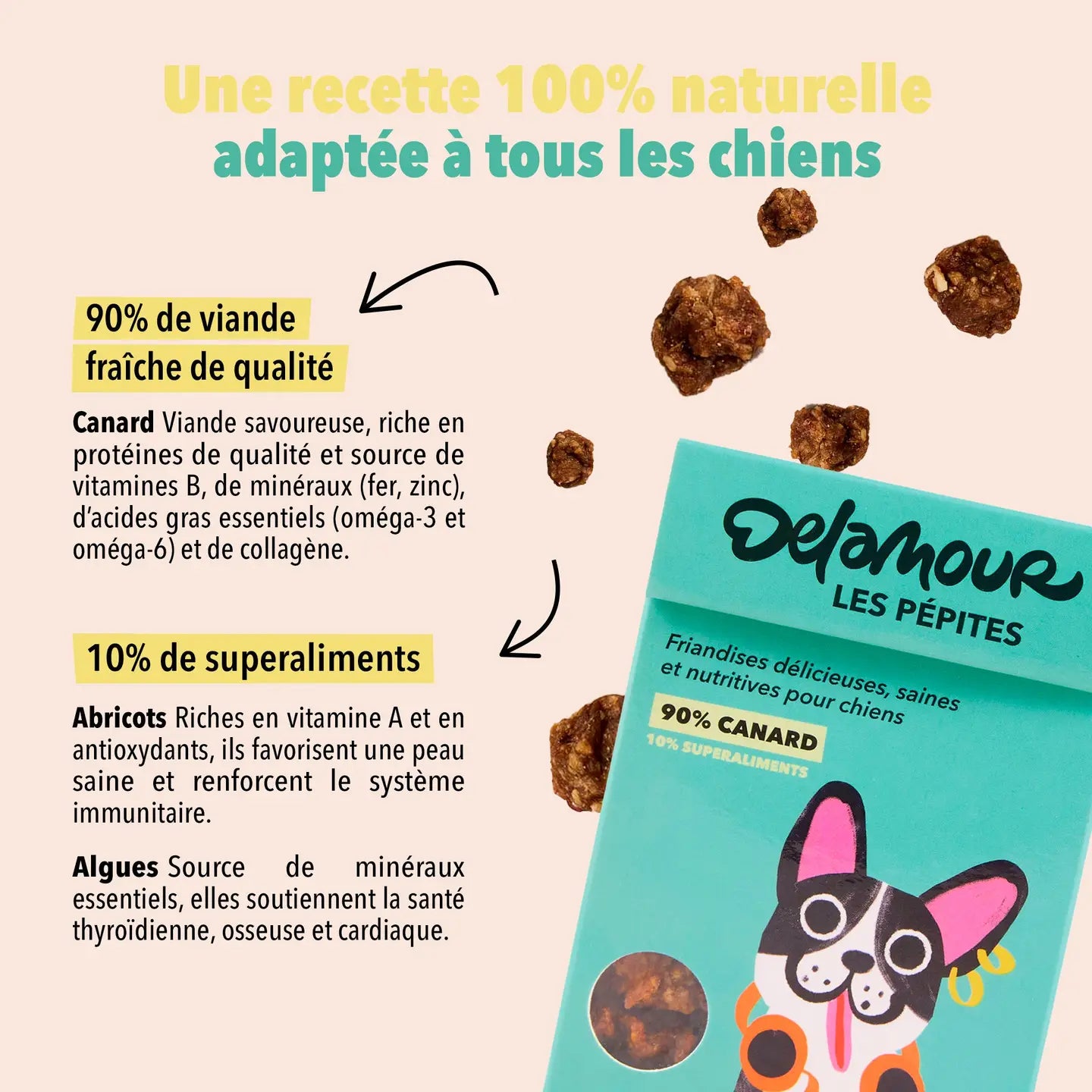 Friandises Les Pépites - Canard - DELAMOUR