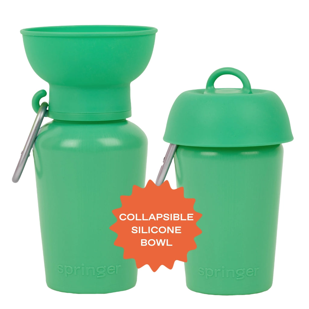 Bouteille d'eau Flip - SPRINGLAND PETS