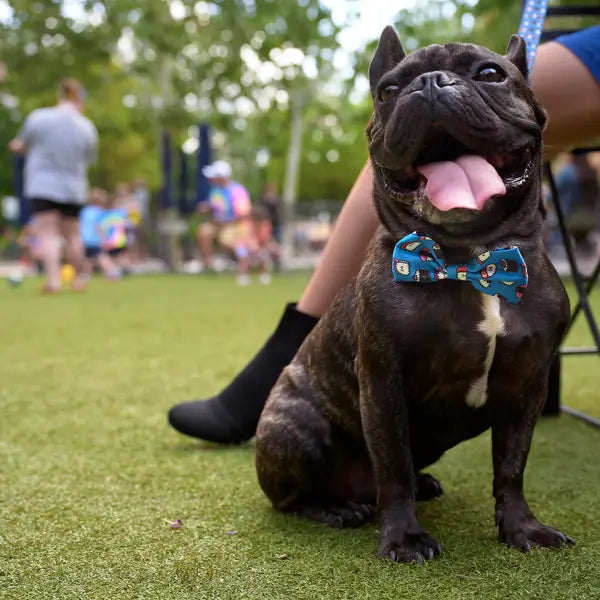 Noeud papillon Sushis - LUVA-BULLZ