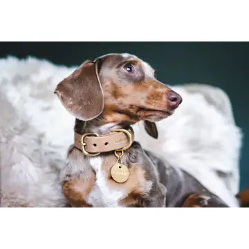 Collier en cuir Fir Latte - BAND & ROLL