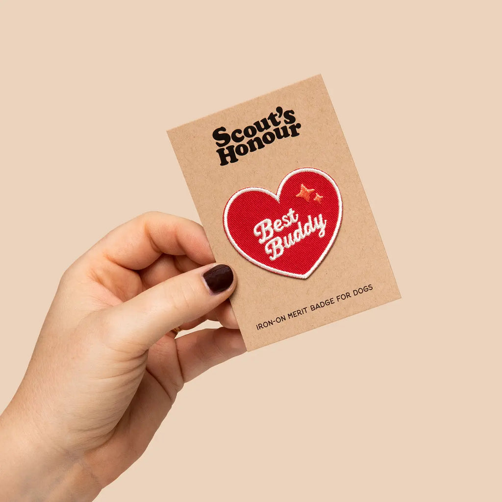 Badge de mérite BEST BUDDY - SCOUT'S HONOUR