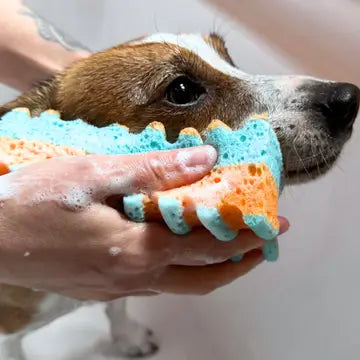 Eponge Monsieur - JAMPY