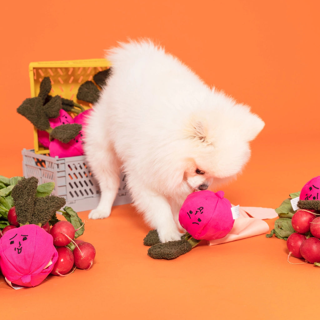 Jouet radis - THE FURRY FOLKS