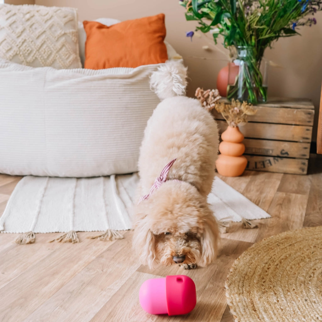 Distributeur de friandises Fun Feeder - BABELLE FOR DOGS
