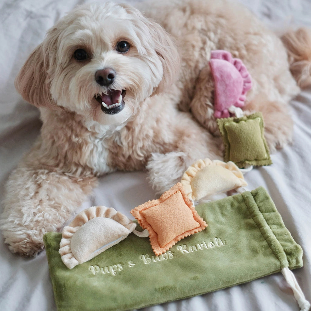 Jouet Raviolis - PUP'S & BUBS