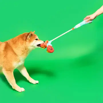 Jouet Canne à pêche - THE FURRYFOLKS
