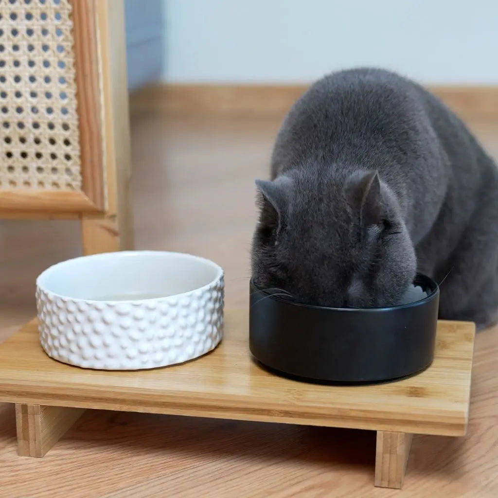 Gamelles pour chiens et chats Komeki - BALVI