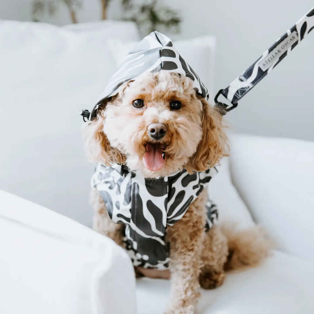 Abstract pattern rain jacket - STELLA &amp; OSCAR