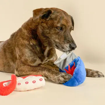 Jouet Poulpe en conserve - THE FURRYFOLKS