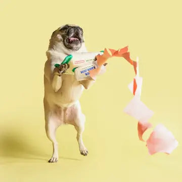 Jouet lingettes - THE FURRYFOLKS