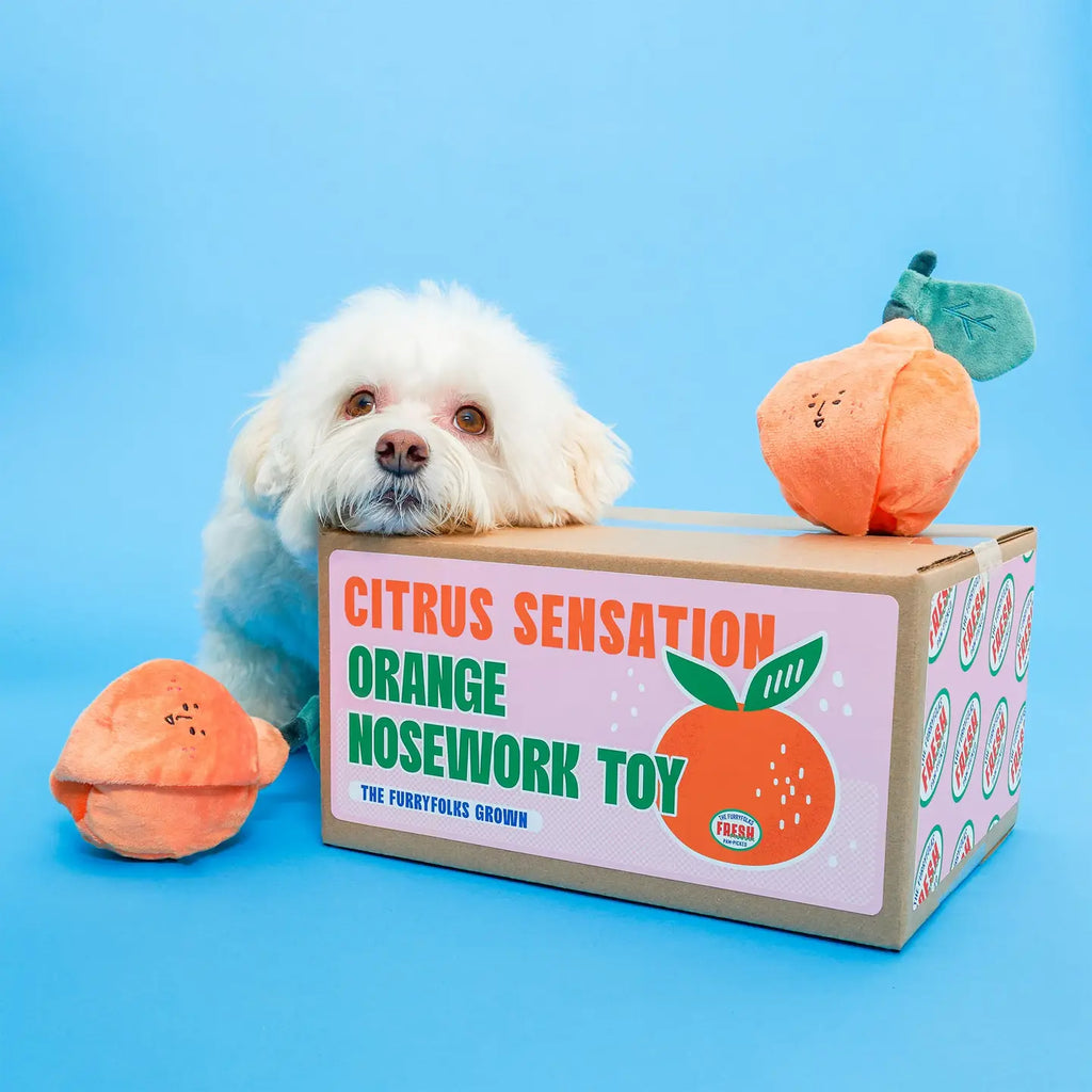 Jouet orange - THE FURRY FOLKS