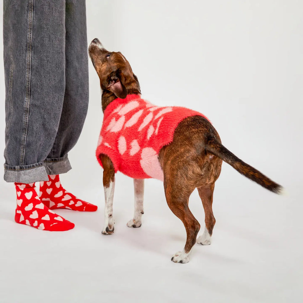 Chaussettes coeurs - THE FURRY FOLKS