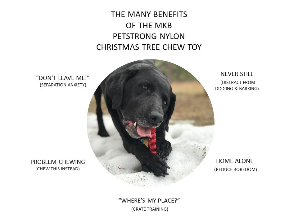 Jouet à mâcher Sapin Noël - SODA PUP