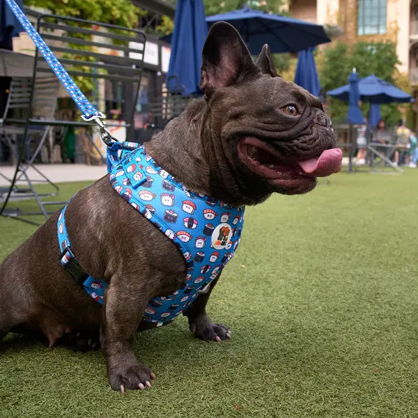 Sushi Leash - LUVA-BULLZ