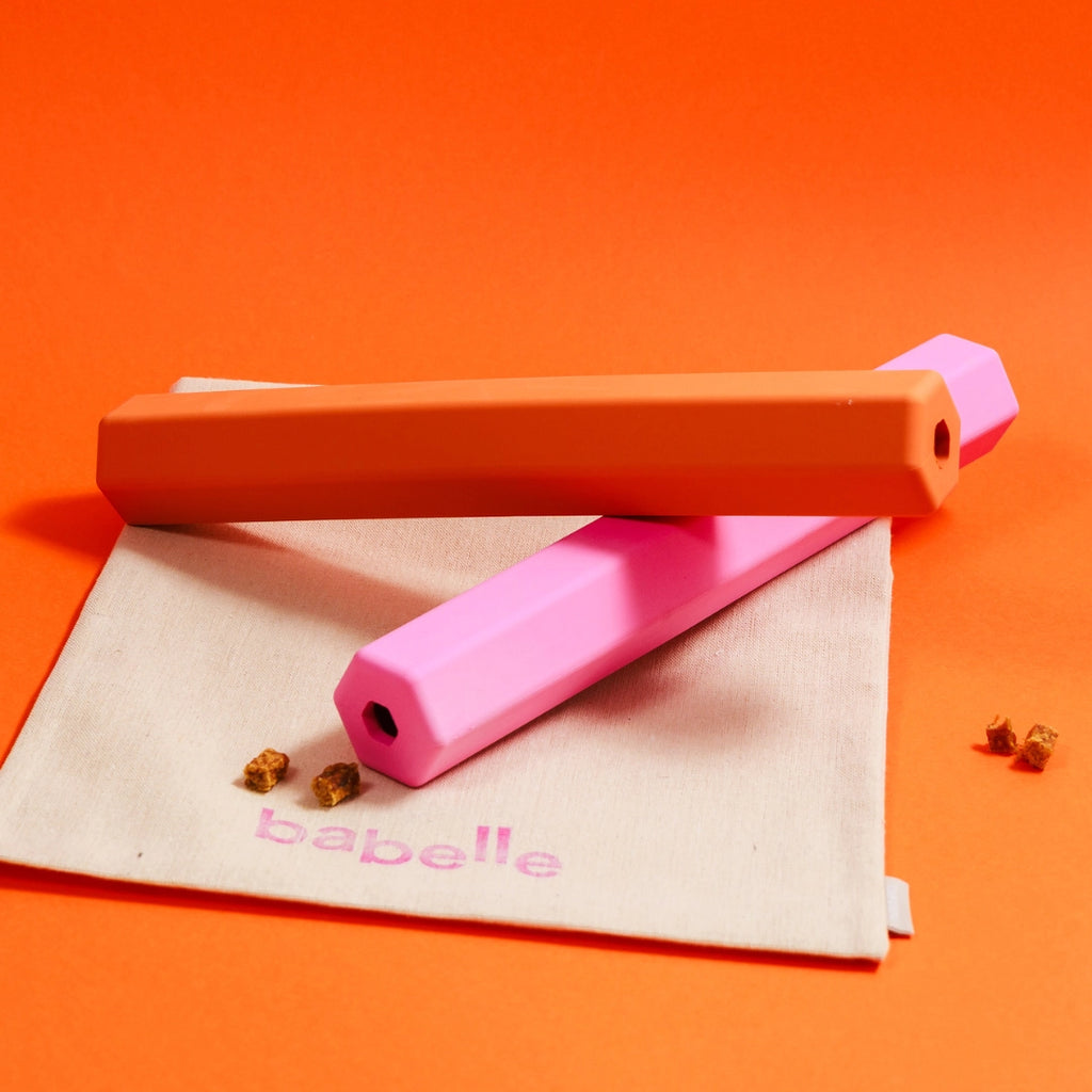 Tube à friandises orange - BABELLE FOR DOGS