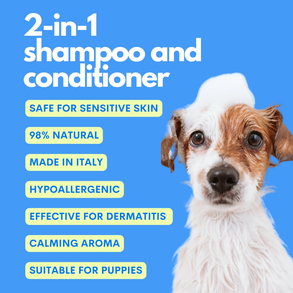 The Number One Shampoo and Conditioner - JAMPY