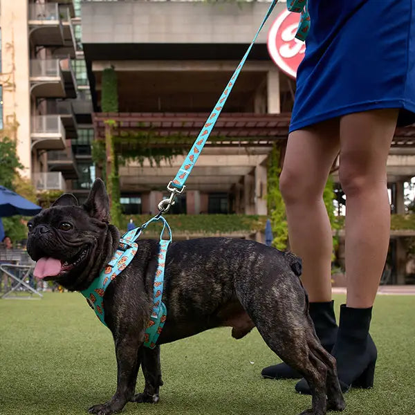 Drippy Pizza Leash - LUVA-BULLZ