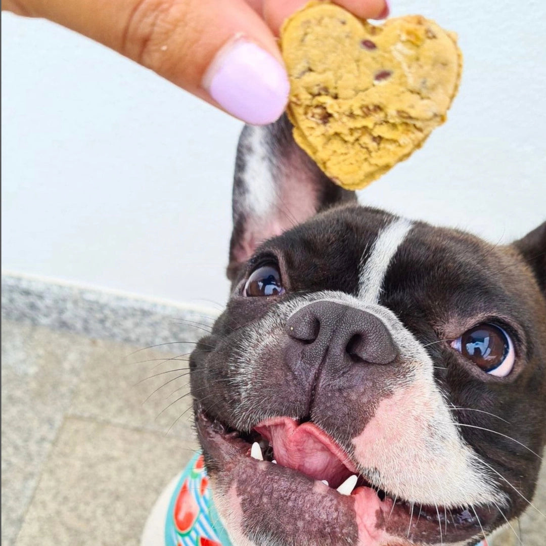 Friandises Chicken Love - COOKA'S COOKIES