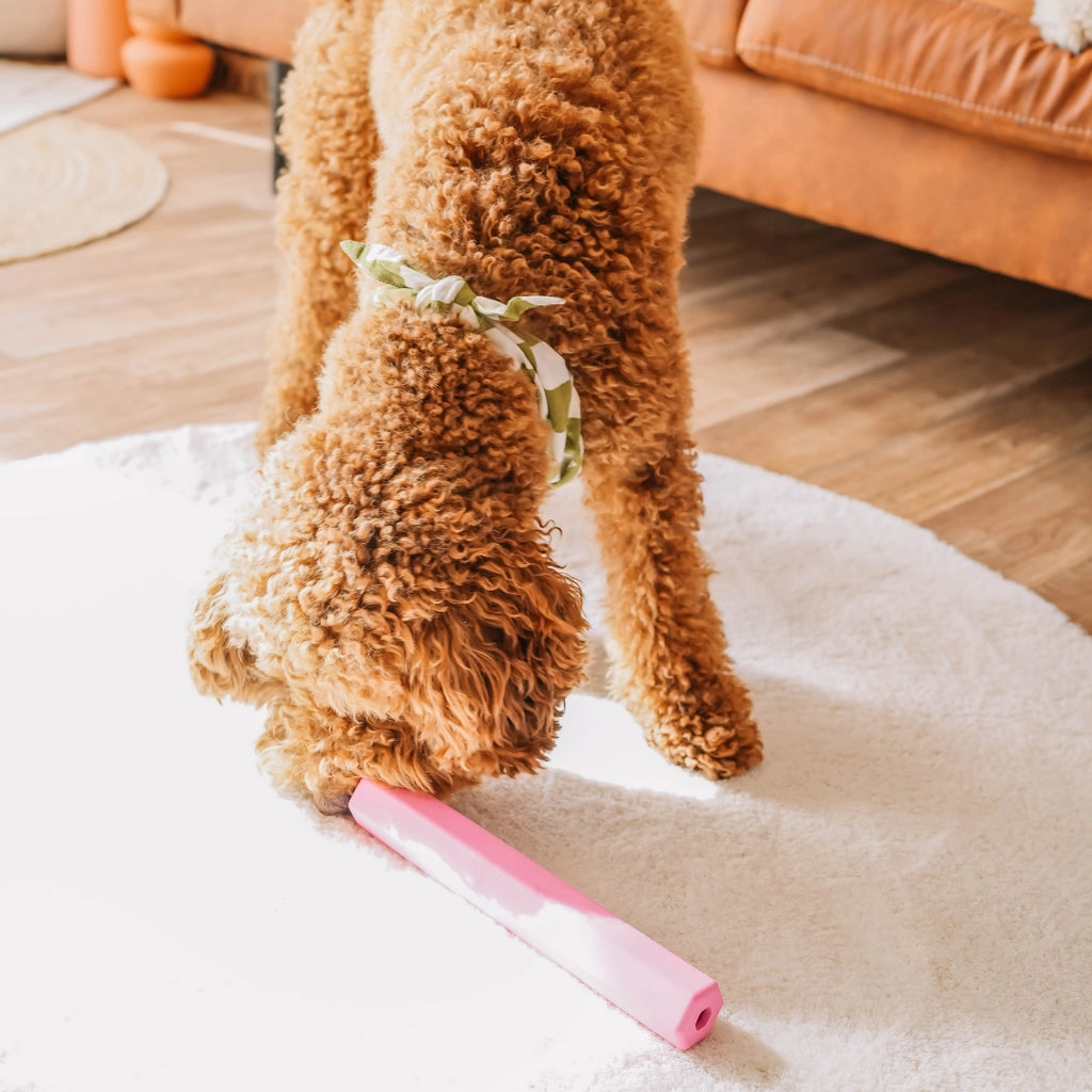 Tube à friandises orange - BABELLE FOR DOGS
