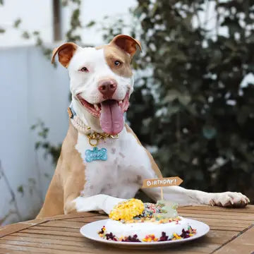 Gâteau en boîte-Kit de gâteau d'anniversaire à faire soi-même- COOKA'S COOKIES