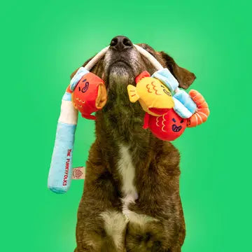 Jouet Canne à pêche - THE FURRYFOLKS
