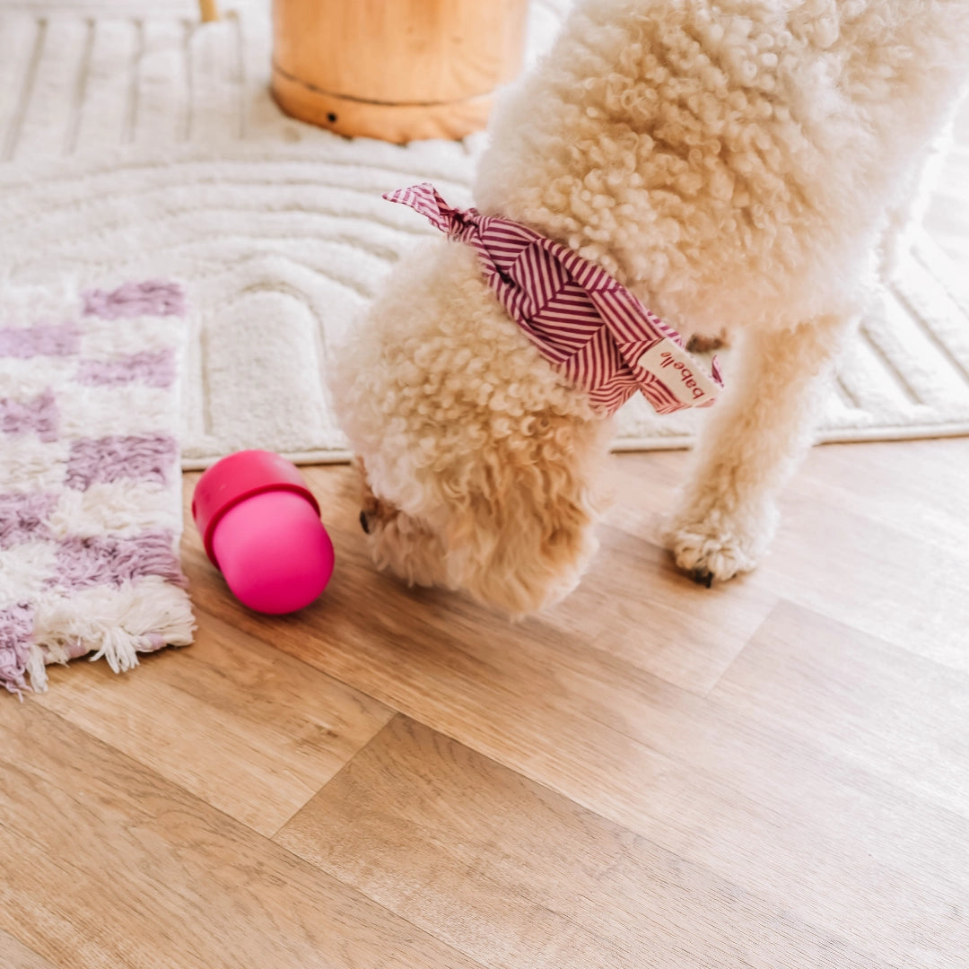 Distributeur de friandises Fun Feeder - BABELLE FOR DOGS