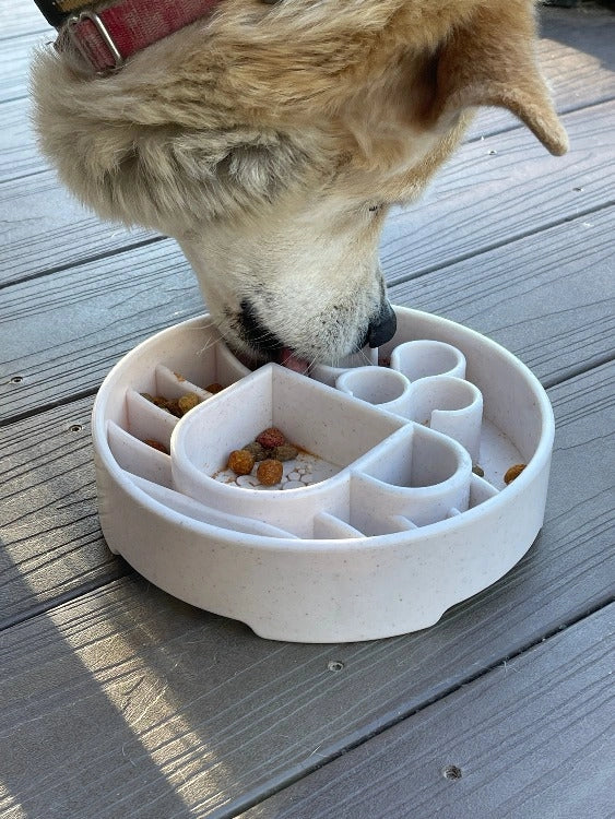 JAVA Enrichment Bowl for Slow Feeding - SODA PUP