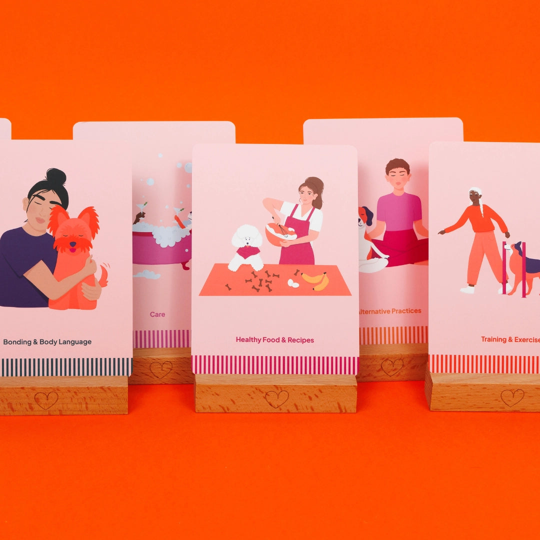 Joyful Woof Card Game - BABELLE FOR DOGS