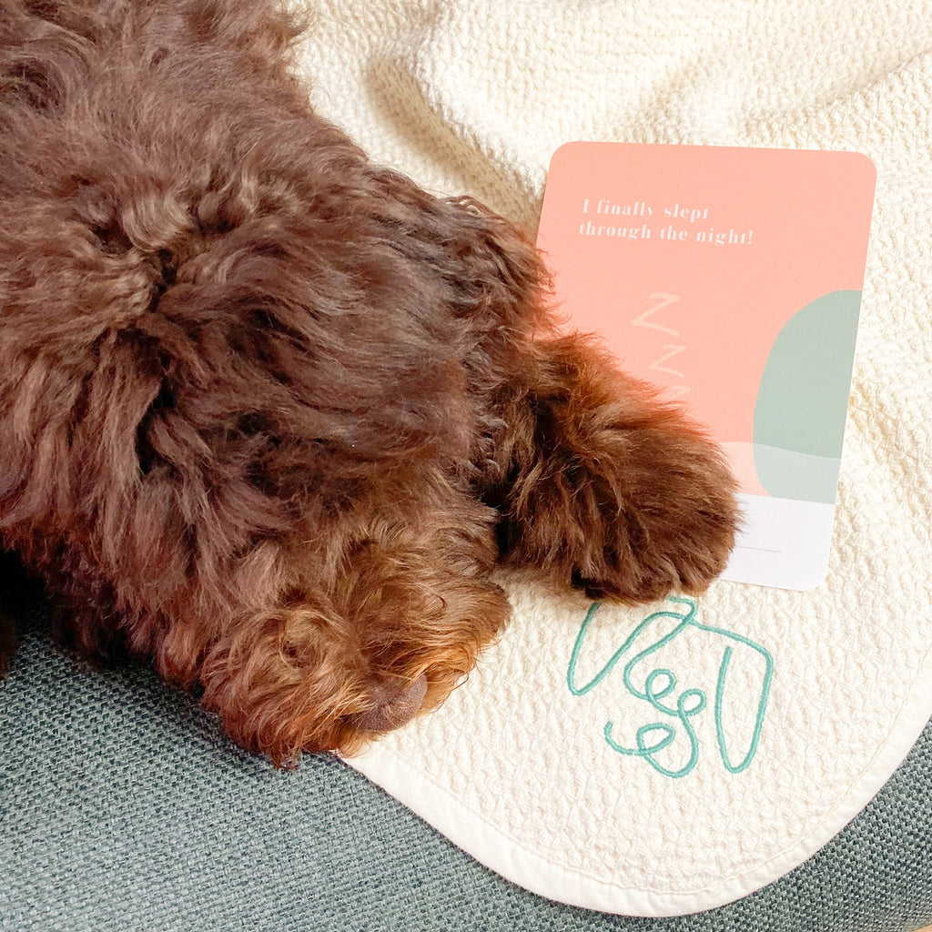 Cartes de jalons pour chiots - PAWNESS