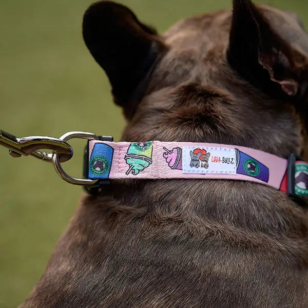 Collier Starbarks - LUVA-BULLZ