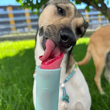 Mélange pour glace à la vraie viande pour chats et chiens - COOKA'S COOKIES