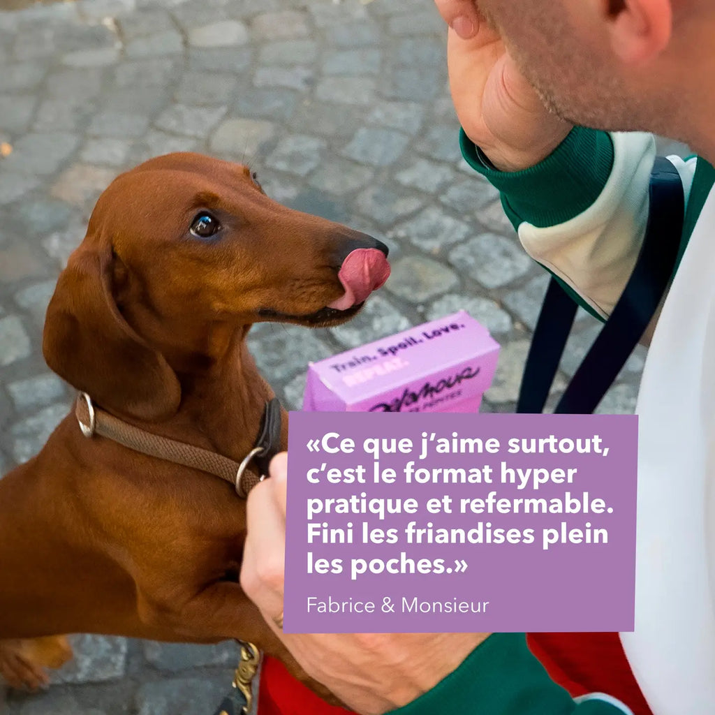 Friandises Les Pépites - Poulet - DELAMOUR