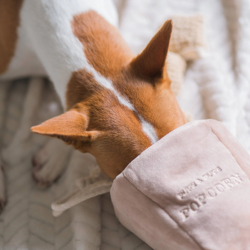 Jouet Pop Corn - PUP'S & BUBS