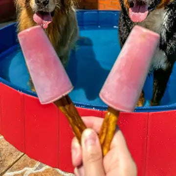Mélange pour glace à la vraie viande pour chats et chiens - COOKA'S COOKIES