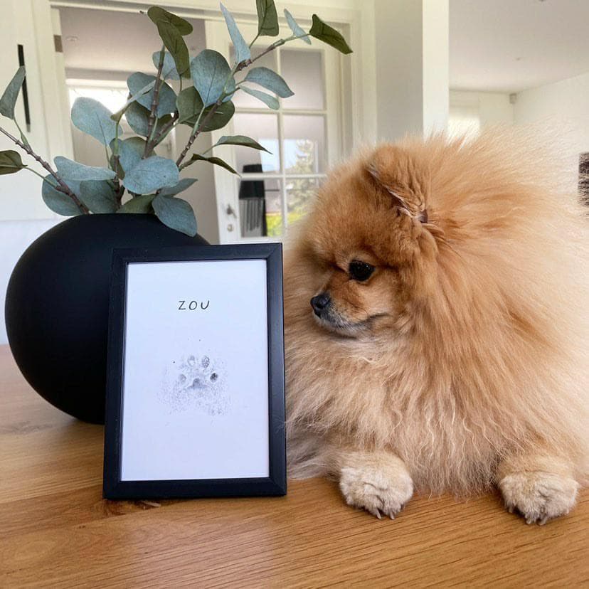 Pawprint - BADOGSHOP